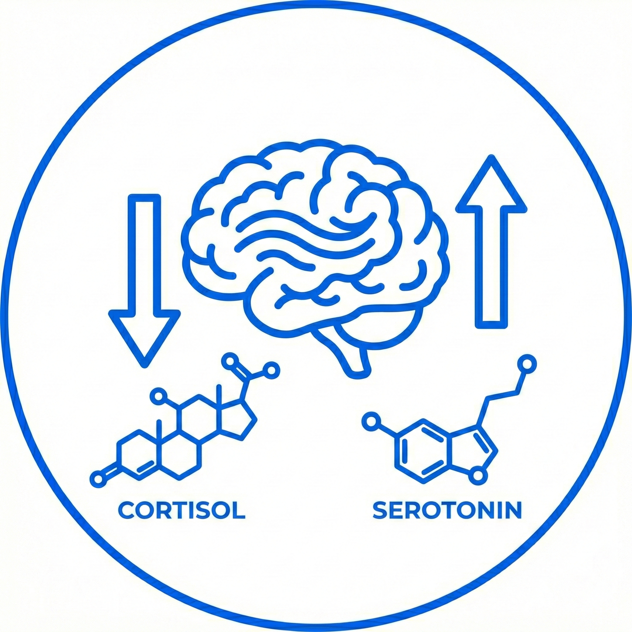 gemini generated image w2uib5w2uib5w2ui